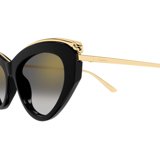 Occhiali da sole CARTIER CT0596S NERO