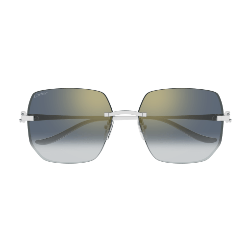 Occhiali da sole CARTIER CT0549S Argento