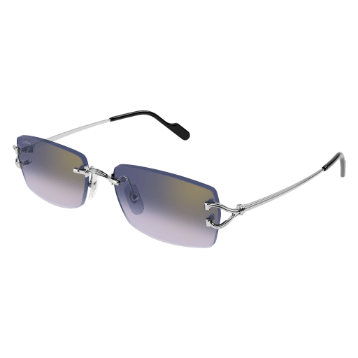 Occhiali da sole CARTIER CT0550S Argento