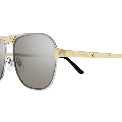 Occhiali da sole CARTIER CT0532S Argento
