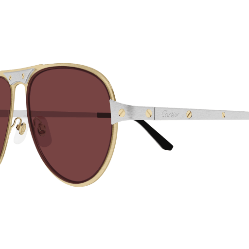 Occhiali da sole CARTIER CT0533S ORO2