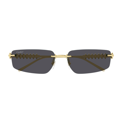 Occhiali da sole CARTIER CT0544S ORO2