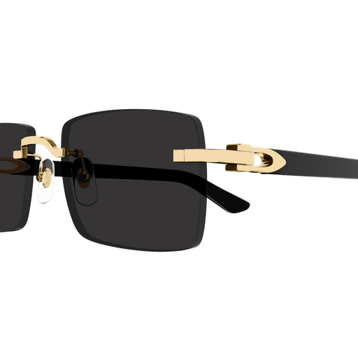 Occhiali da sole CARTIER CT0579S ORO