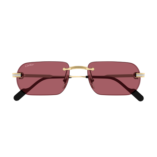 Occhiali da sole CARTIER CT0577S ORO3