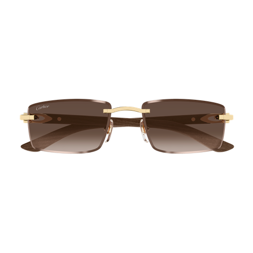 Occhiali da sole CARTIER CT0582S ORO3