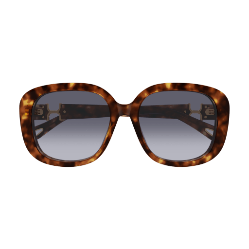 Occhiali da sole CHLOÉ CH0303SK Havana