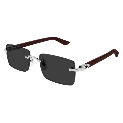 Occhiali da sole CARTIER CT0579S ARGENTO3