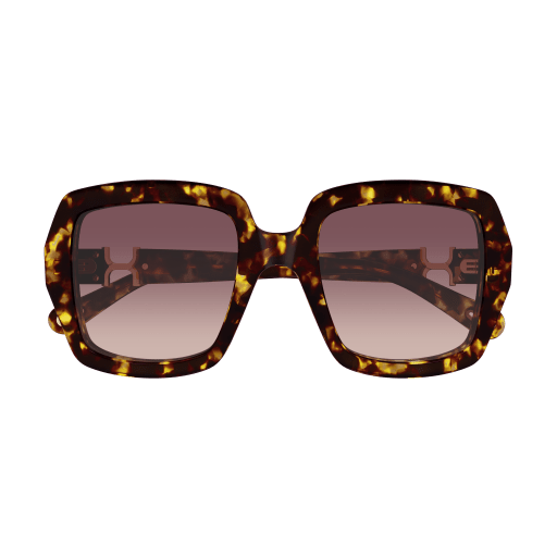 Occhiali da sole CHLOÉ CH0301S Havana