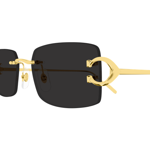 Occhiali da sole CARTIER CT0605S ORO