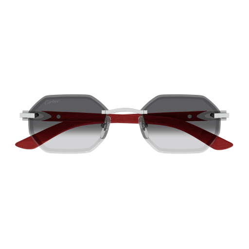Occhiali da sole CARTIER CT0439S Argento