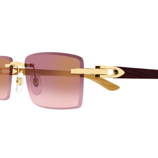 Occhiali da sole CARTIER CT0582S ORO2