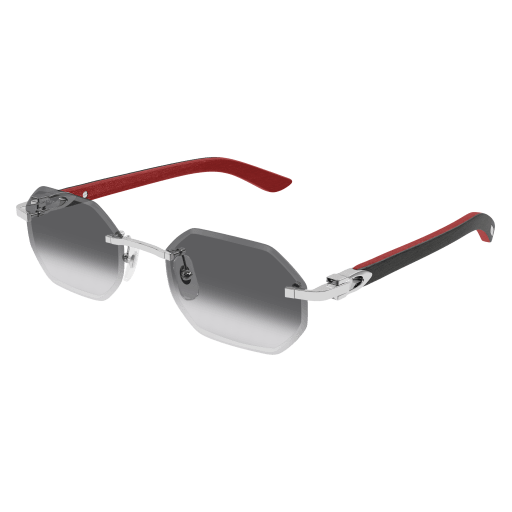 Occhiali da sole CARTIER CT0439S Argento