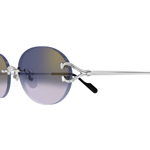 Occhiali da sole CARTIER CT0551S Argento B