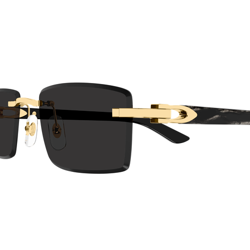 Occhiali da sole CARTIER CT0582S ORO