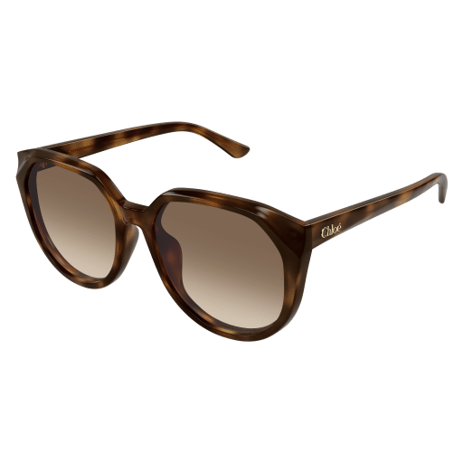 Occhiali da sole CHLOÉ CH0291SK Havana