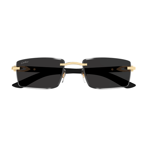 Occhiali da sole CARTIER CT0582S ORO