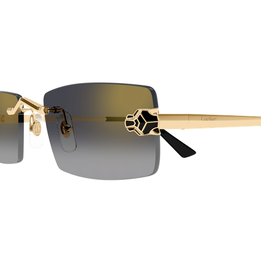 Occhiali da sole CARTIER CT0598S ORO