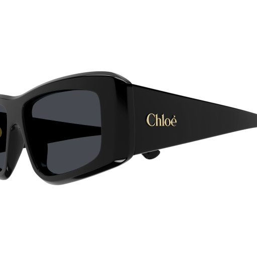 Occhiali da sole CHLOÉ CH0299S Nero