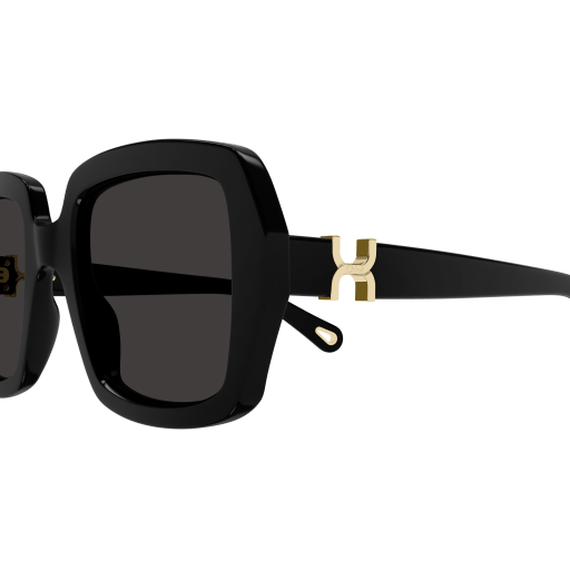 Occhiali da sole CHLOÉ CH0301S Nero
