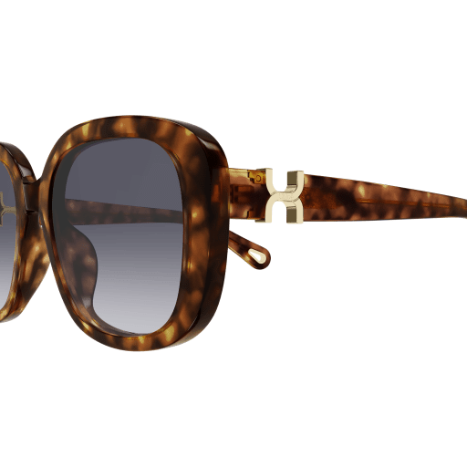 Occhiali da sole CHLOÉ CH0303SK Havana