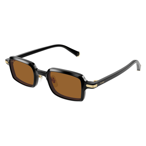 Occhiali da sole CARTIER CT0539S NERO2