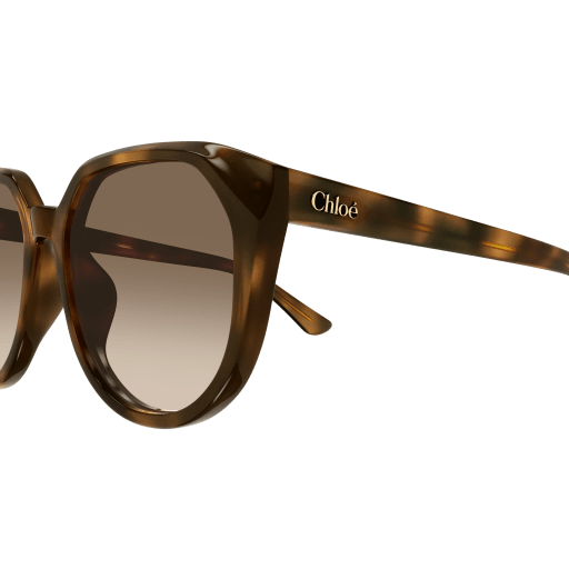 Occhiali da sole CHLOÉ CH0291SK Havana