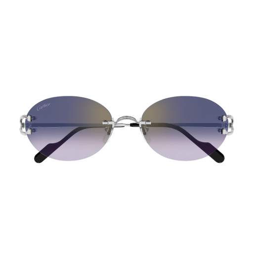 Occhiali da sole CARTIER CT0551S Argento B