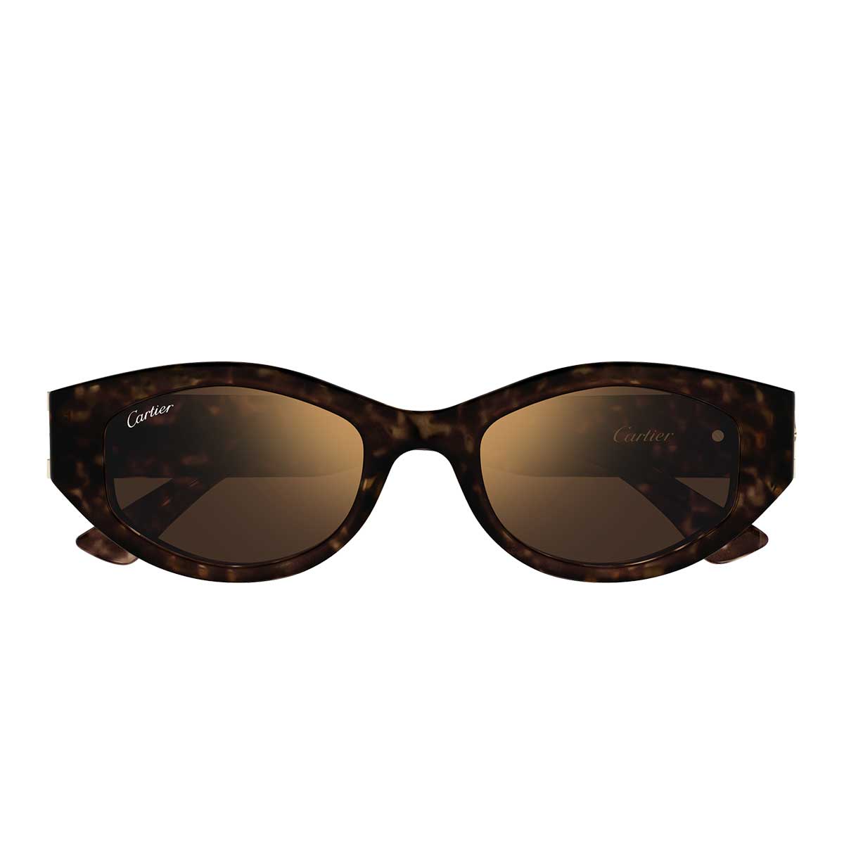 Cartier Occhiali da Sole CT0667S 002 Marrone/Marrone Donna