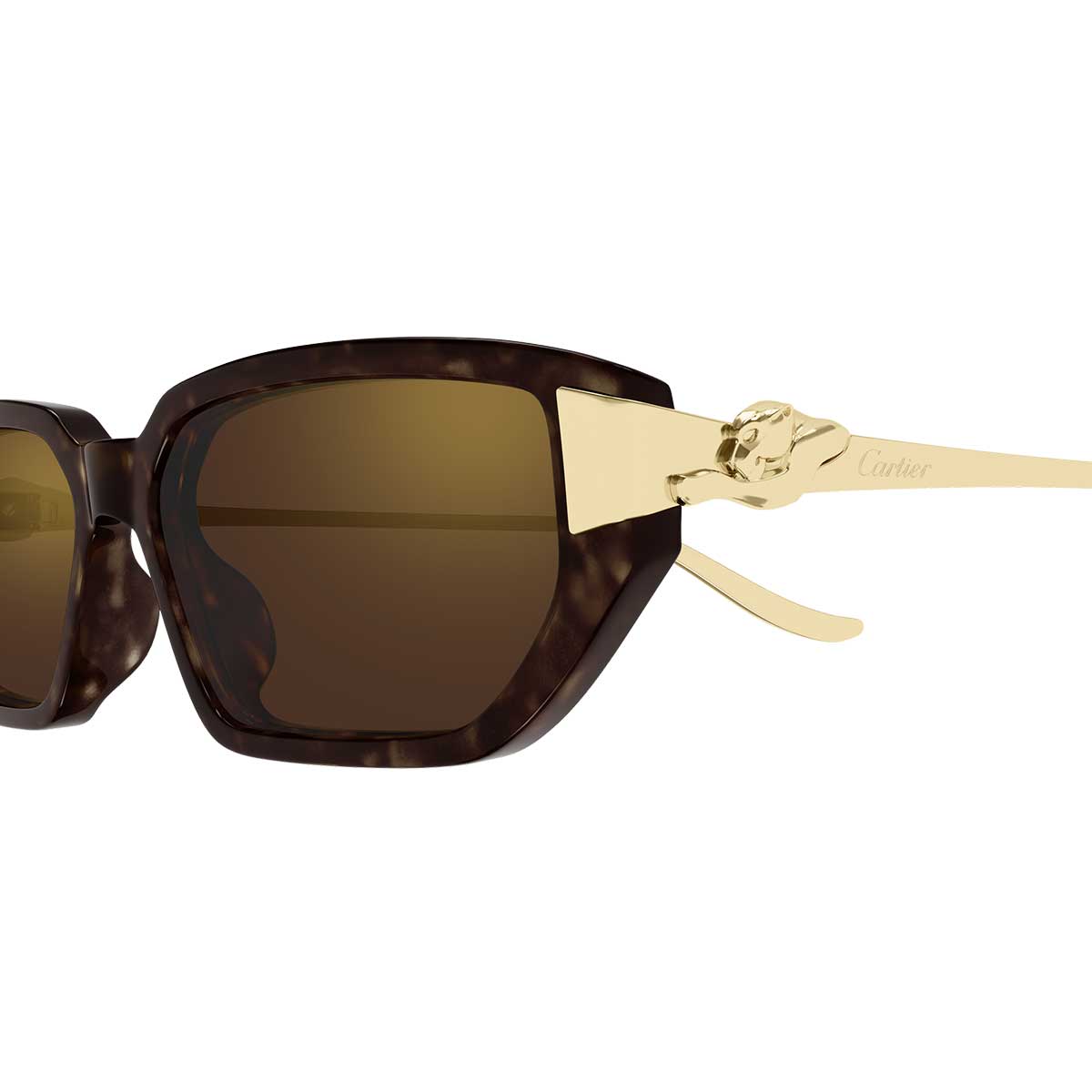 Cartier Occhiali da Sole CT0674S 003 MarroneOro/Marrone Donna 3