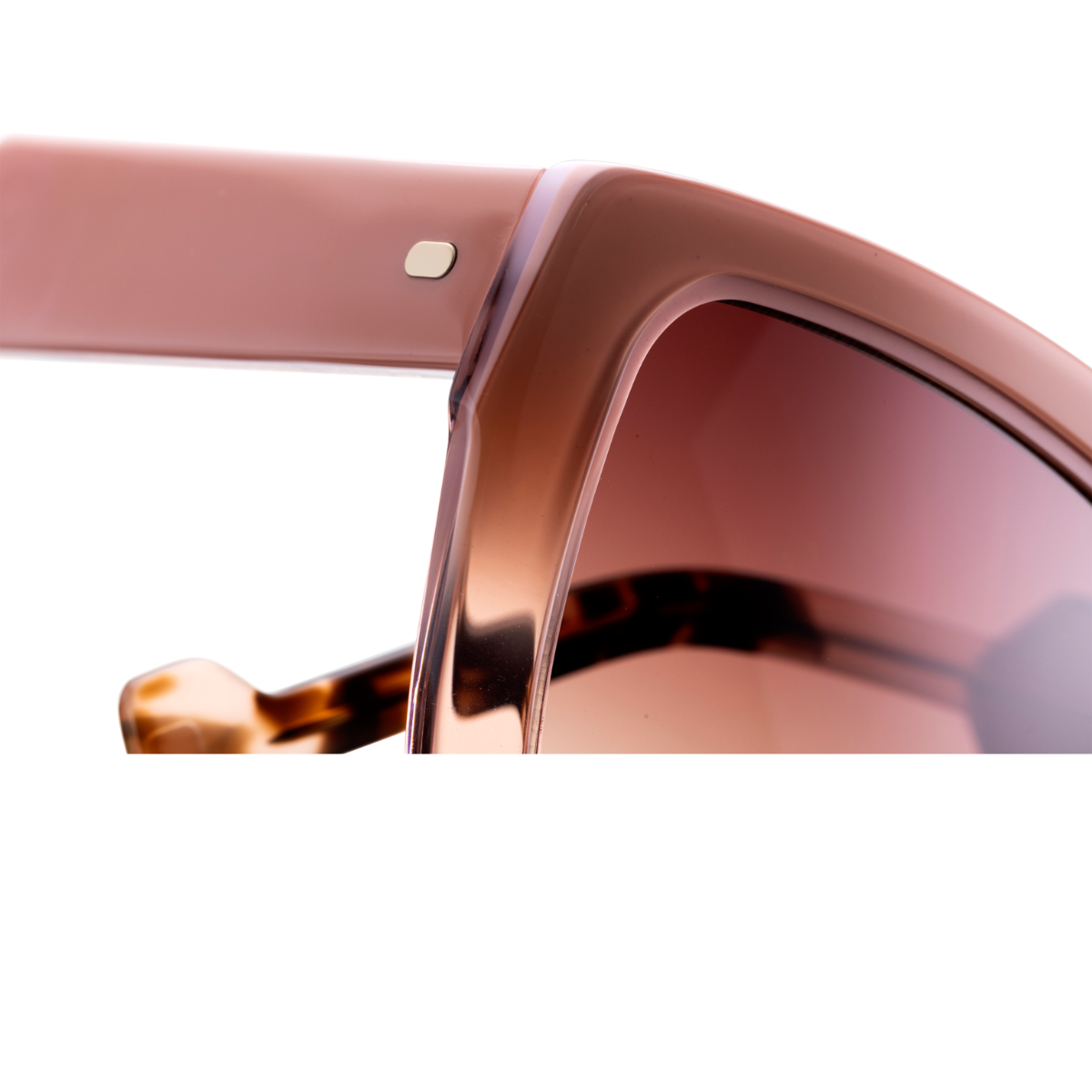 Entourage of 7 Occhiali da sole TALEGA 1302 Purple - Pink