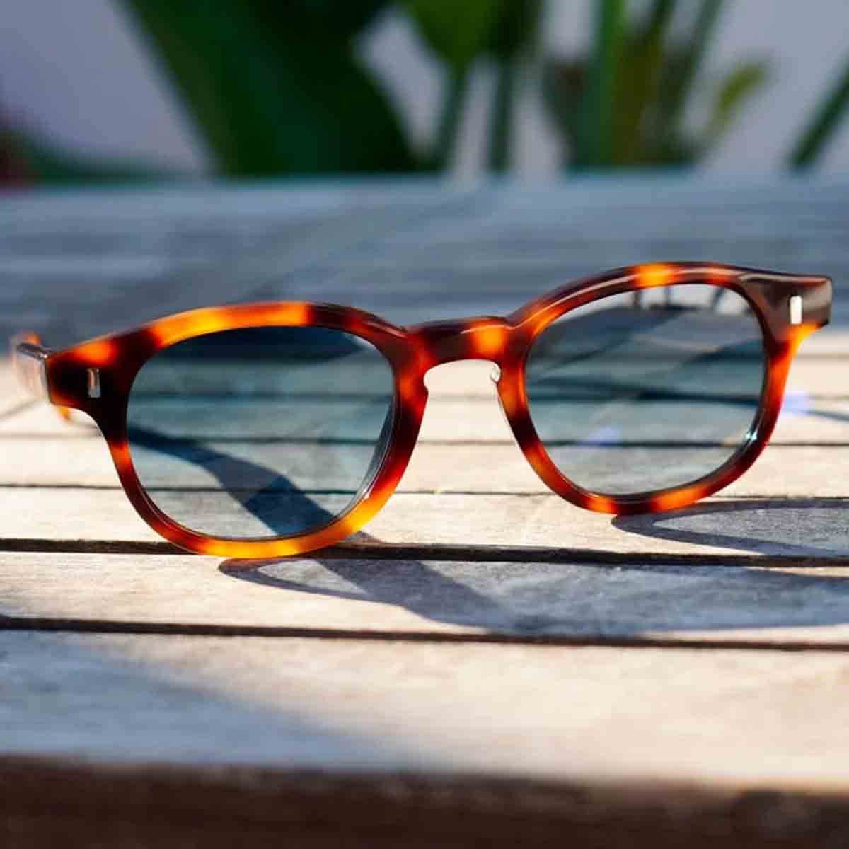 L.G.R. Occhiali da Sole Fez Bold Marrone Maculato 39/Blu HD 5