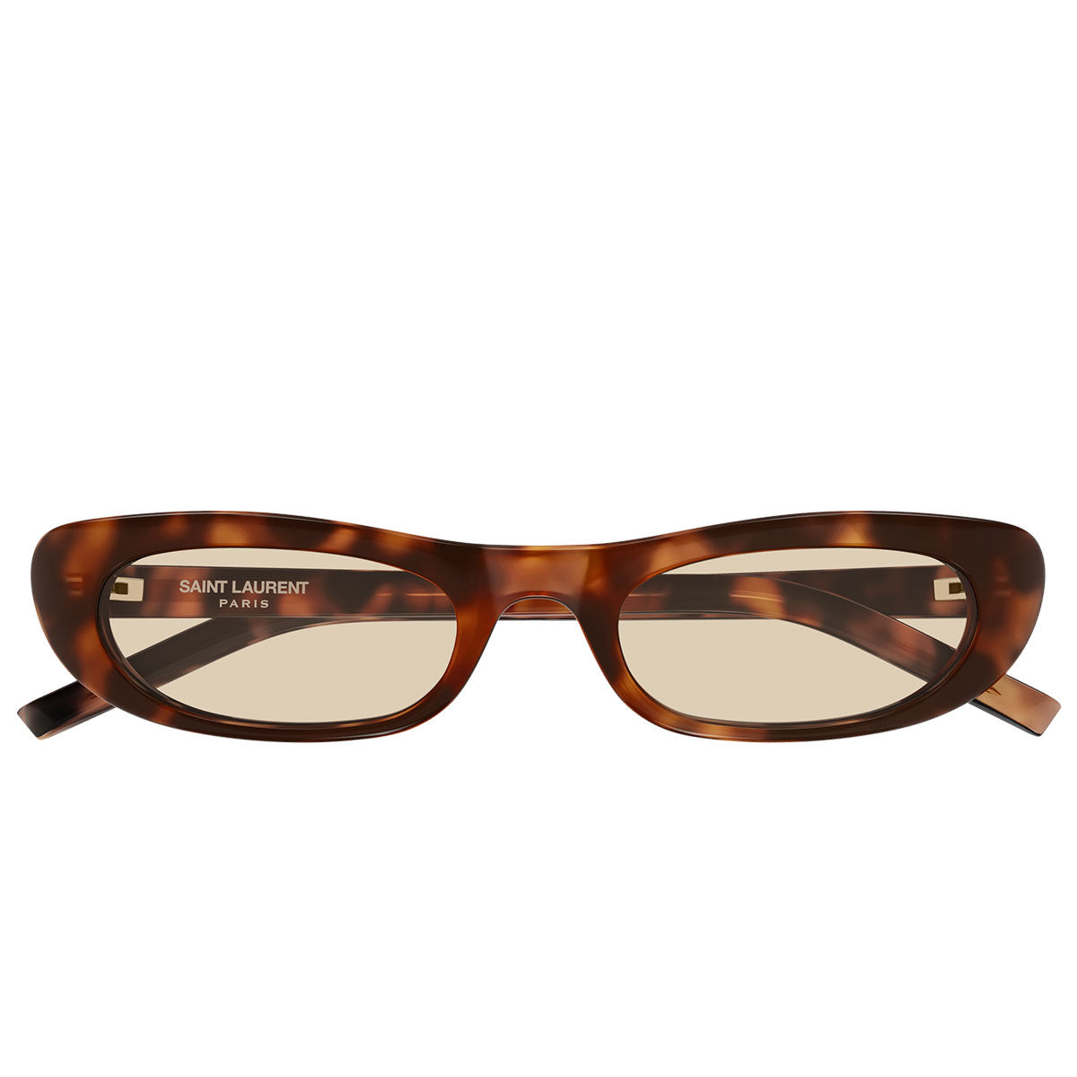 Saint Laurent Occhiali da Sole SL 557 SHADE 008 Marrone/Marrone Donna