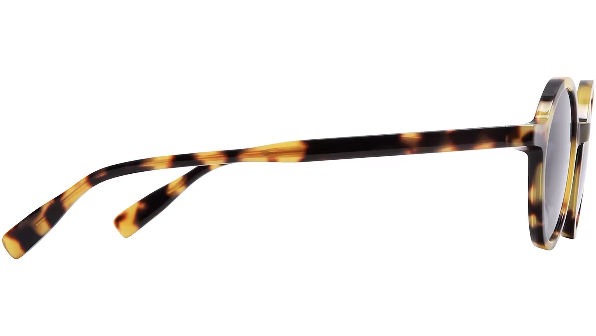 Occhiali da sole GIGI STUDIOS Oia Brown havana