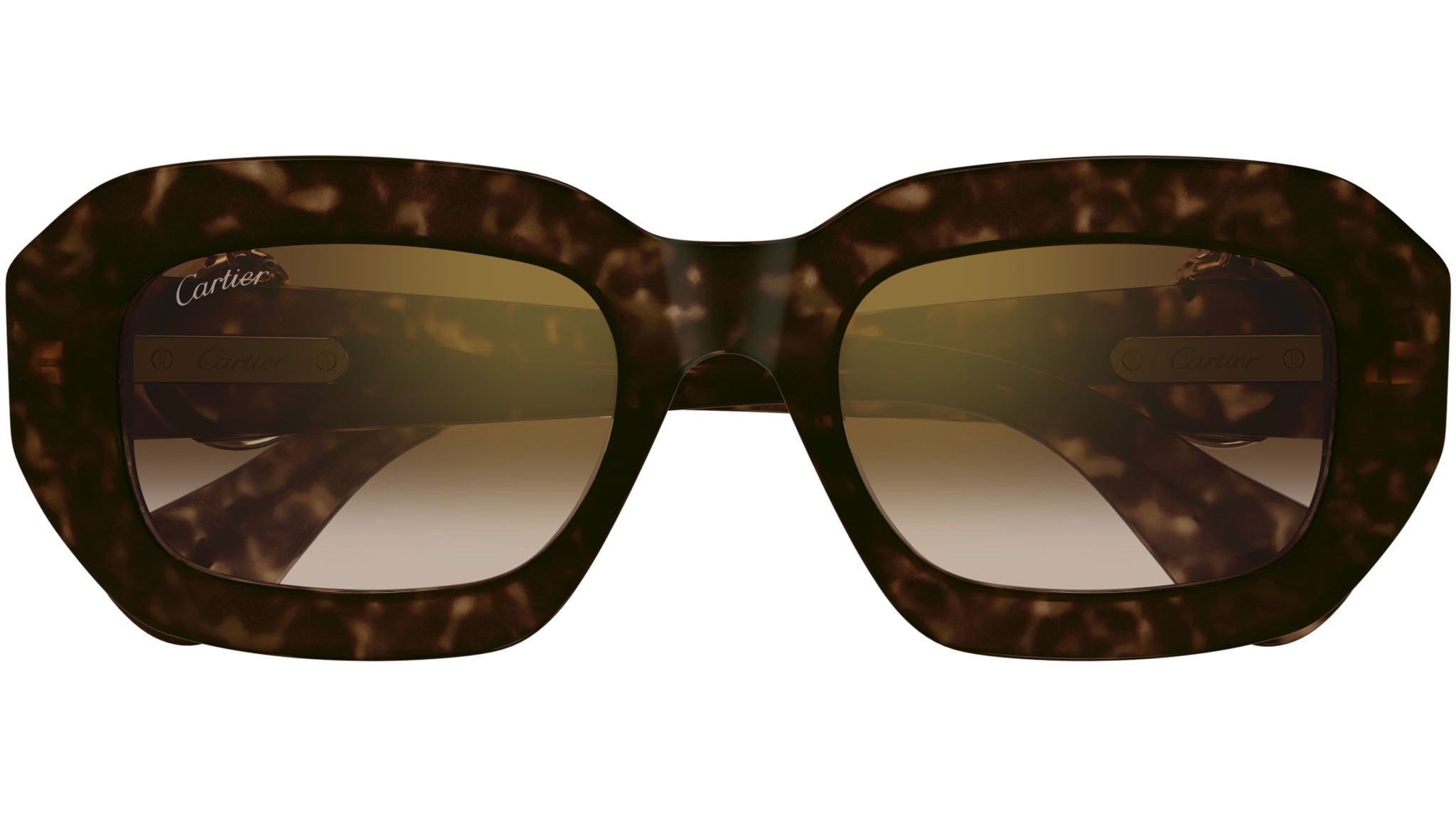 Occhiali da sole CARTIER CT0546S Dark tortoiseshell effect