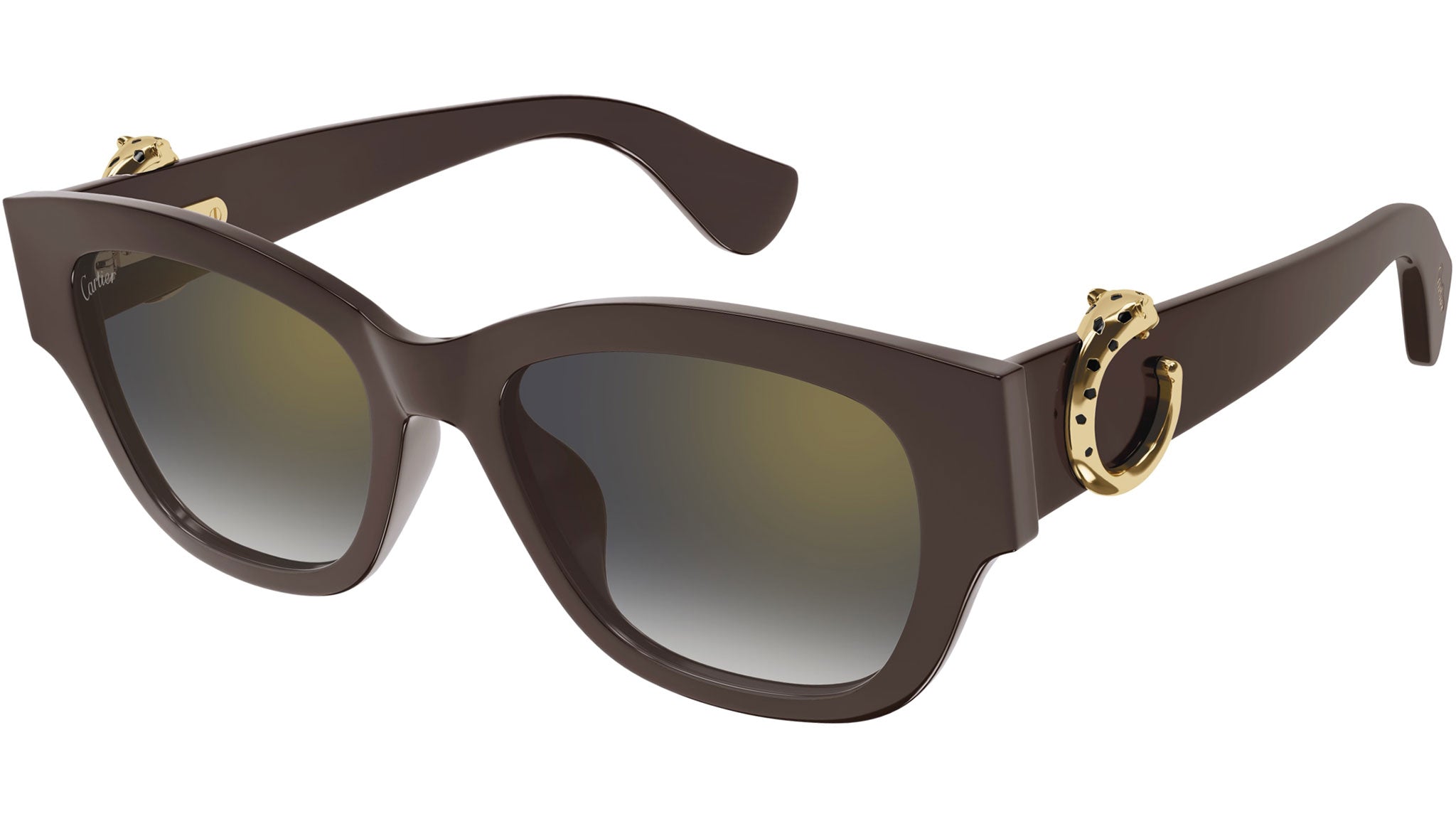 Occhiali da sole CARTIER CT0548SA Brown