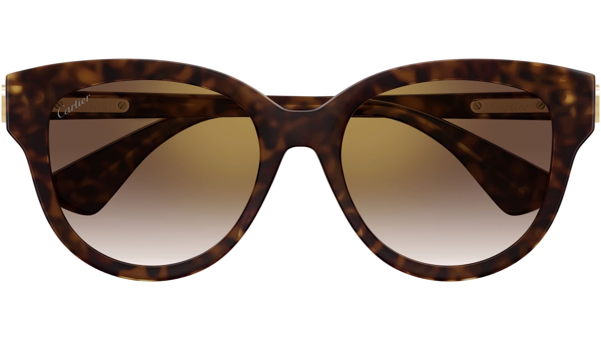 Occhiali da sole CARTIER CT0506S Dark tortoiseshell effect