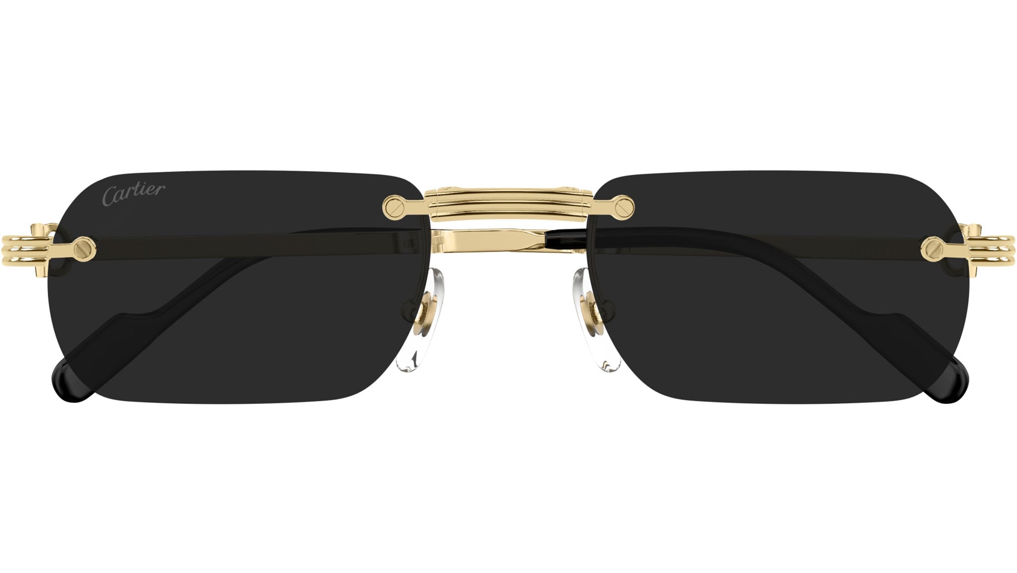 Occhiali da sole CARTIER CT0499S Smooth golden finish