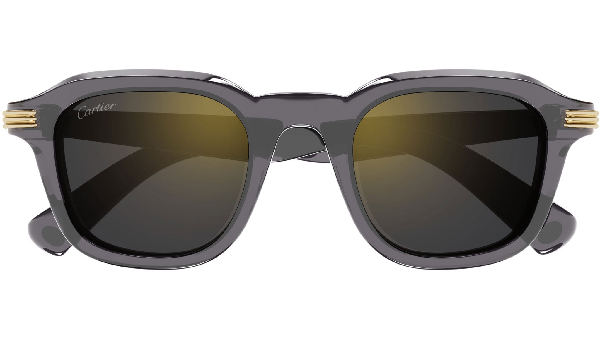 Occhiali da sole CARTIER CT0536S Transparent grey