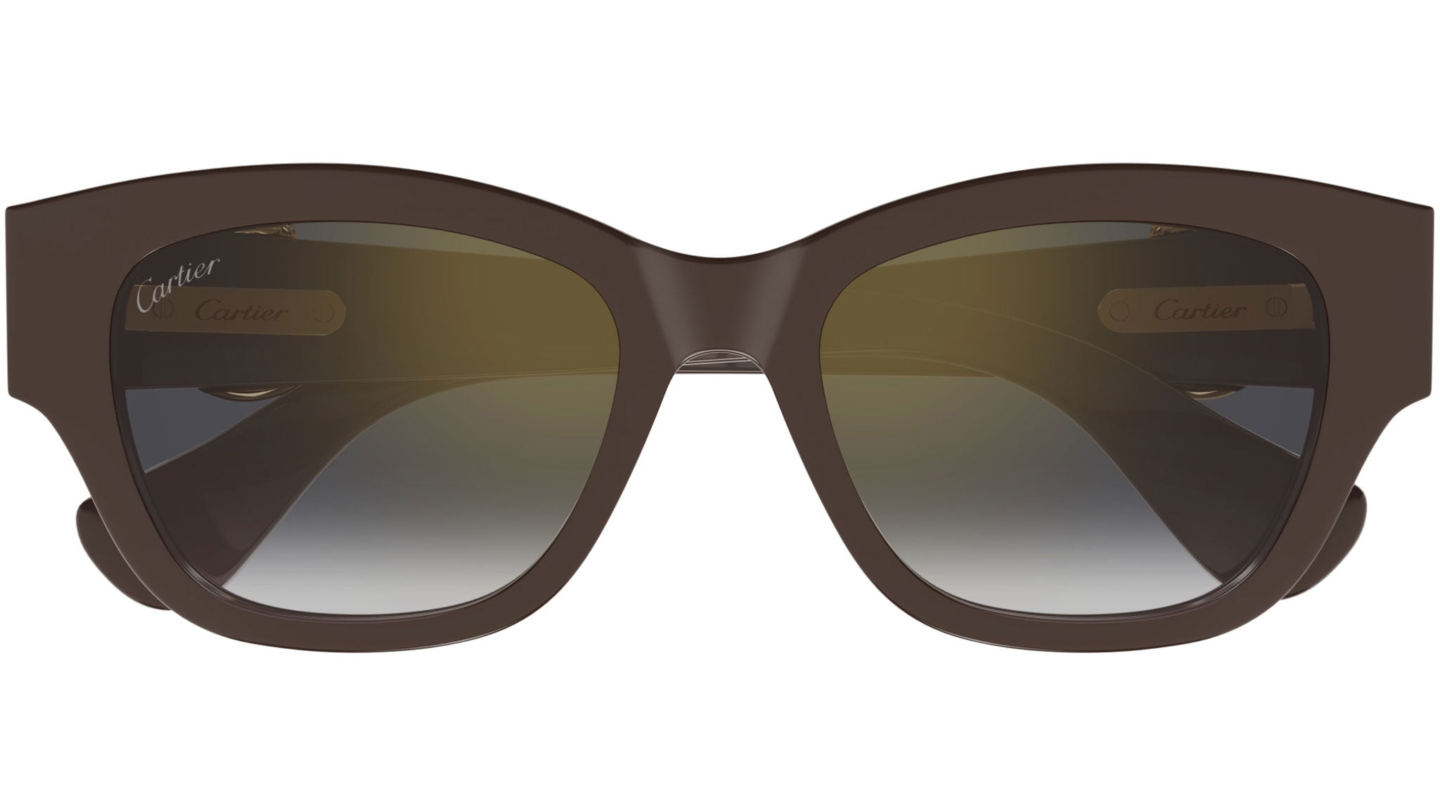 Occhiali da sole CARTIER CT0548SA Brown
