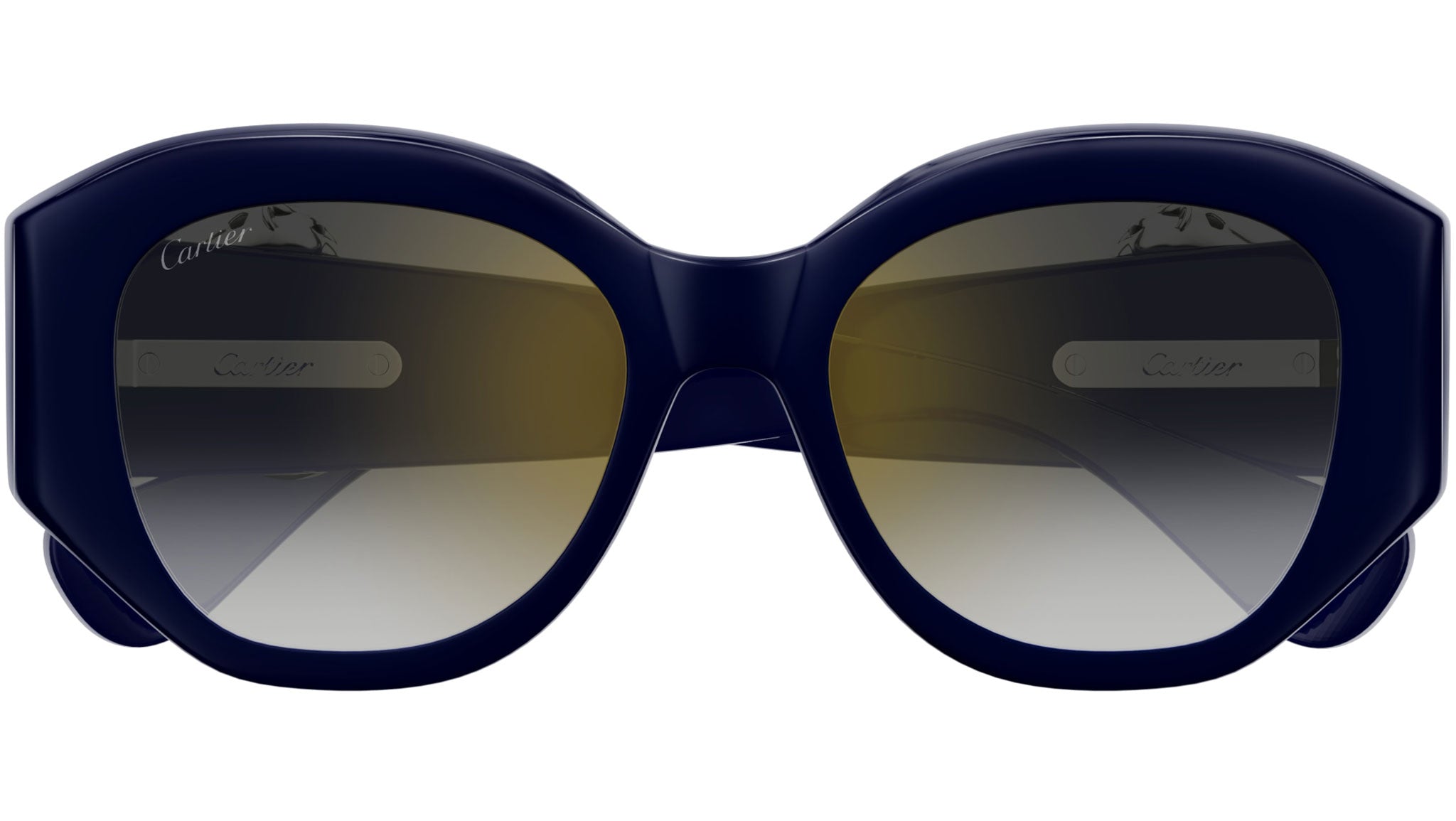 Occhiali da sole CARTIER CT0502S Deep blue