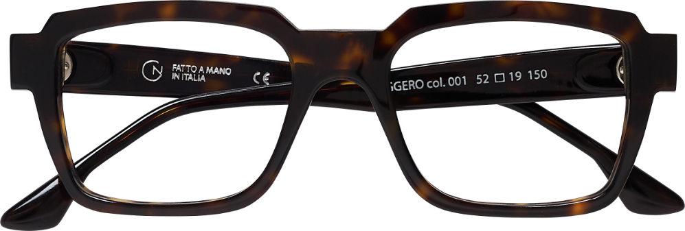 Occhiali da vista GIORGIO NANNINI RUGGERO 001