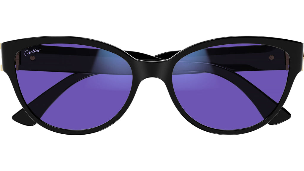 Occhiali da sole CARTIER CT0450S Black