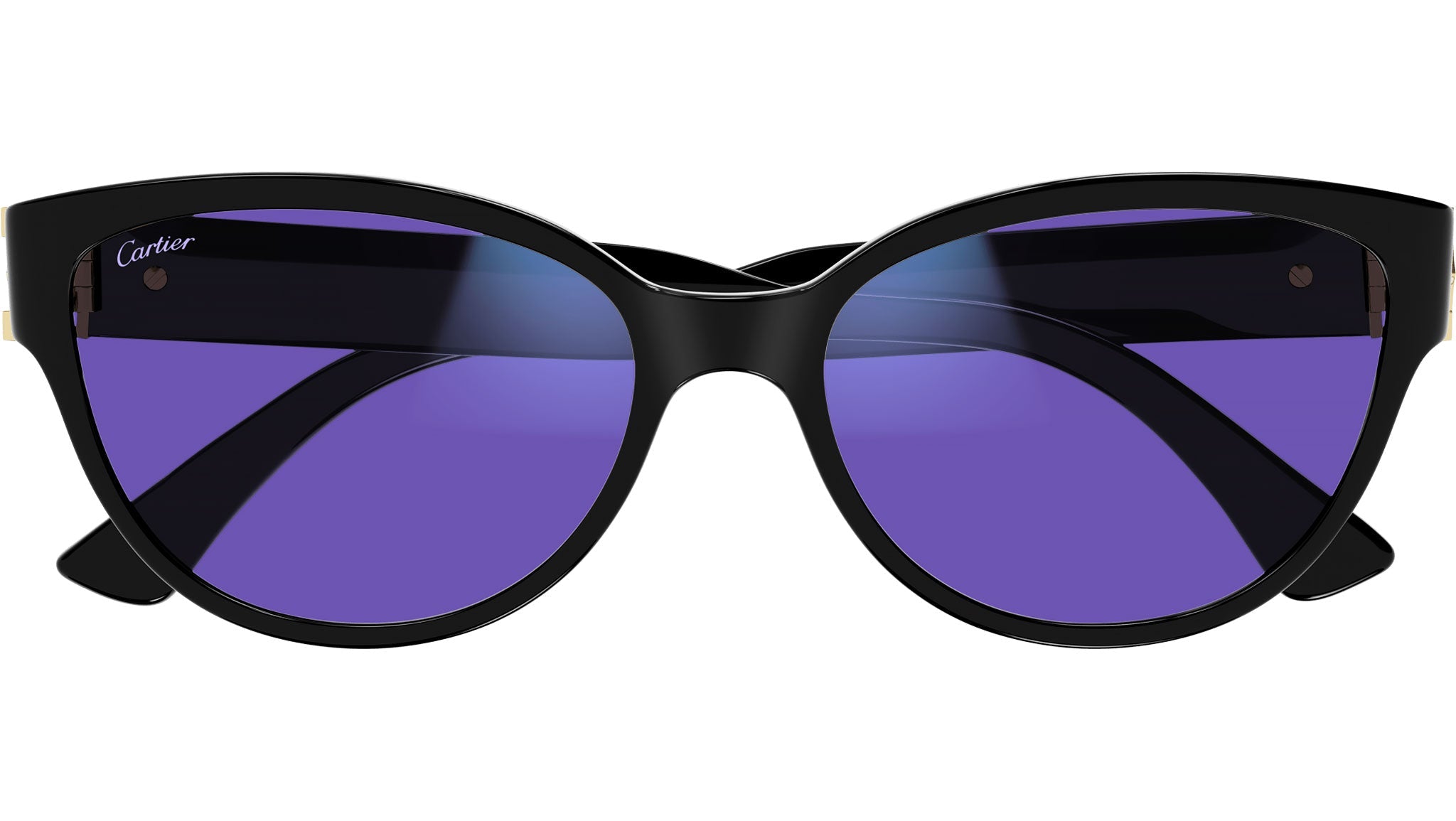 Occhiali da sole CARTIER CT0450S Black