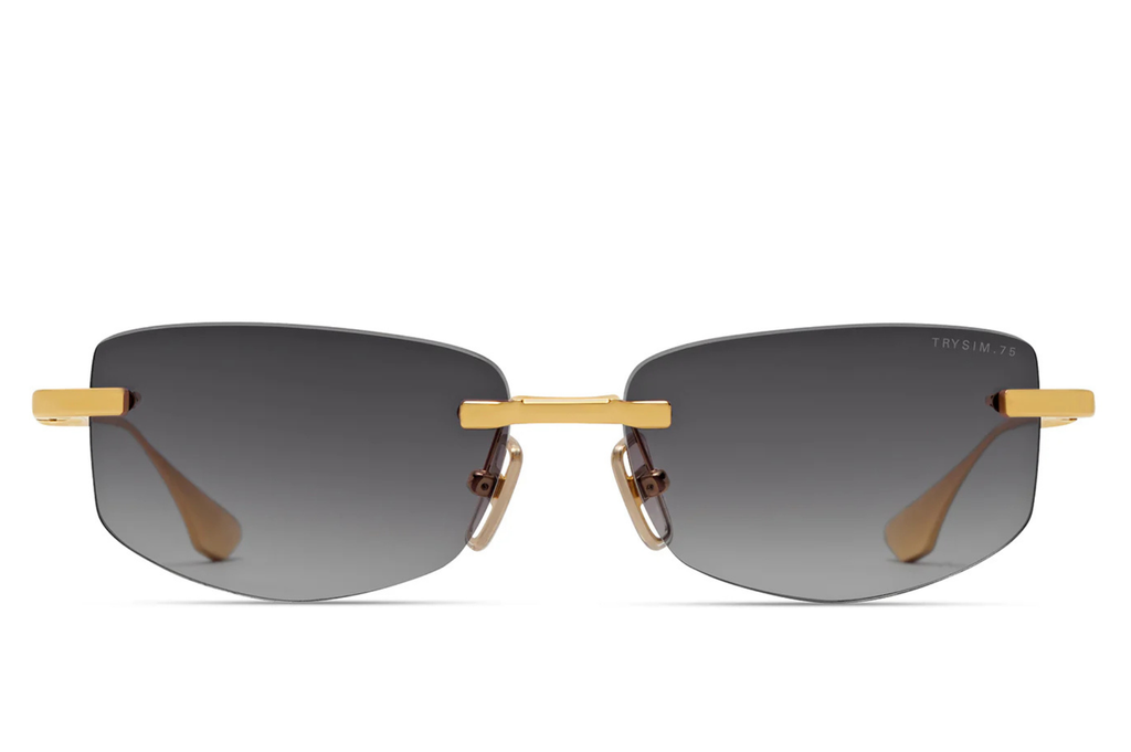 Occhiali da sole DITA TRYSIM.75 01