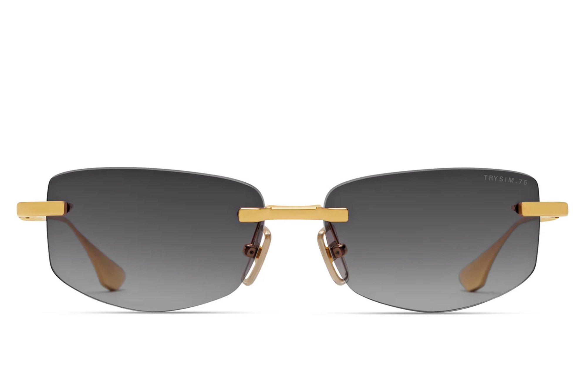 Occhiali da sole DITA TRYSIM.75 01