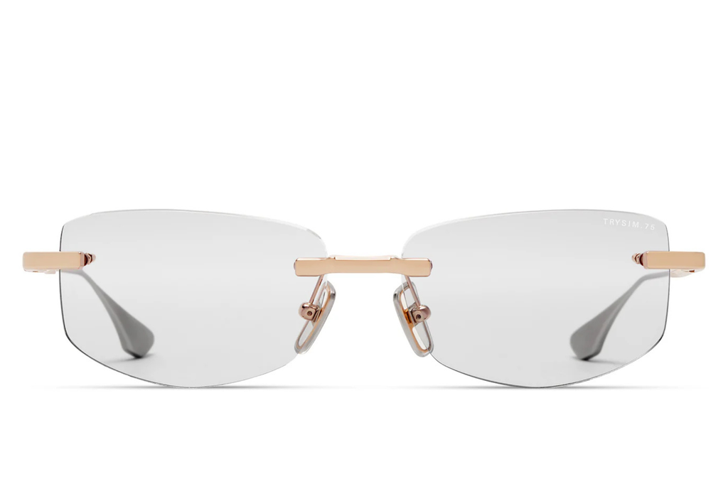 Occhiali da vista DITA TRYSIM.75 01