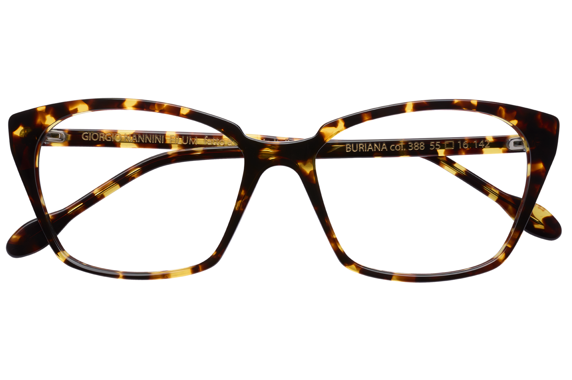 Occhiali da vista GIORGIO NANNINI FILUM BURIANA 388
