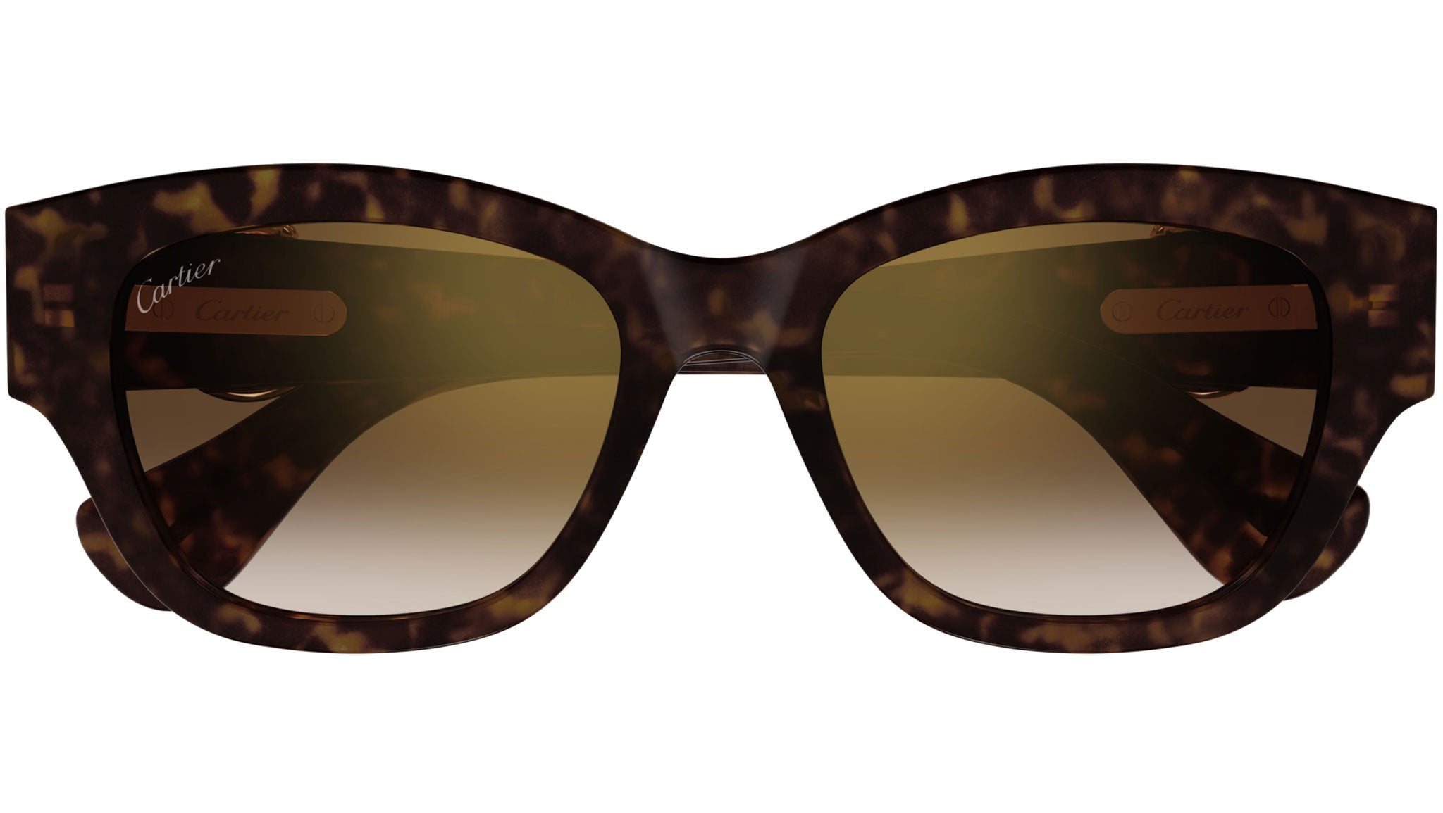 Occhiali da sole CARTIER CT0548SA Dark tortoiseshell effect