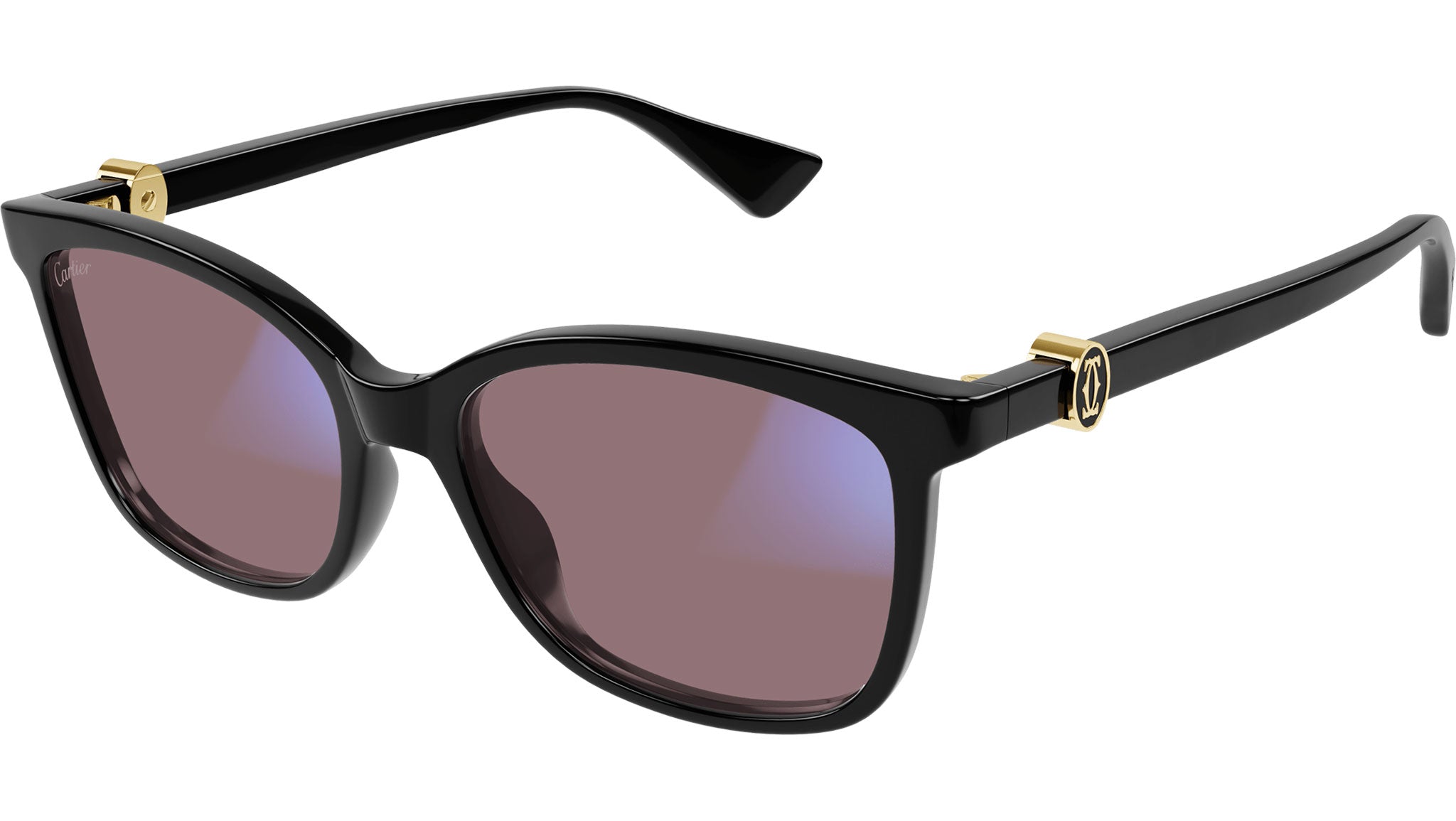 Occhiali da sole CARTIER CT0493S Black