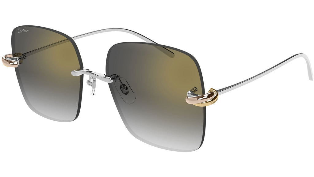 Occhiali da sole CARTIER CT0508S Smooth platinum finish
